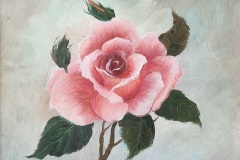 Rose tendre -	2008 - 2F	24*19 - Huile sur toile